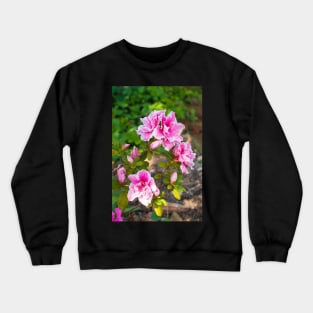 Pink Azalea Flowers Crewneck Sweatshirt